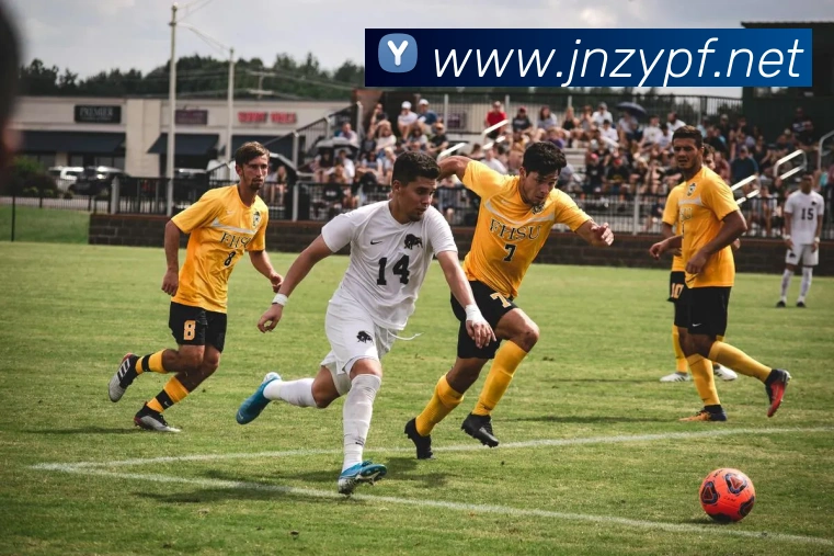 奖项图1